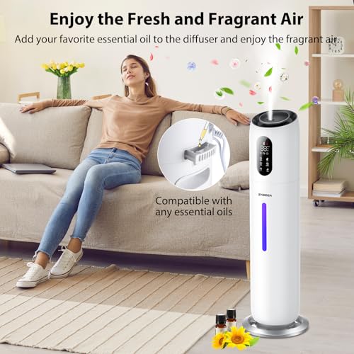 Amazon.ca: ZXBEER